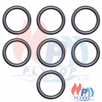 O-kroužek sada 10 ks PROTHERM - 0020085922 / 0020097234